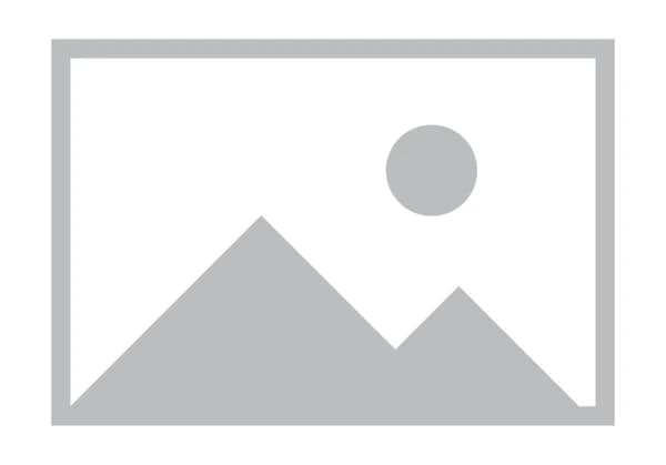 Le Guide Expert du Siège Social: De l’Adresse Fiscale à la Domiciliation